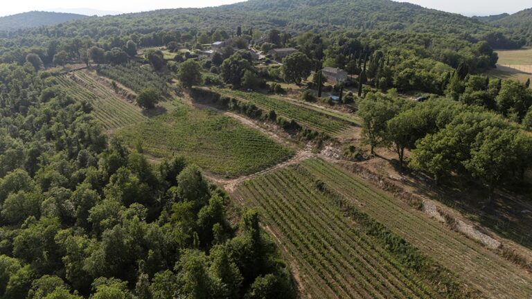 viticoltura rigenerativa in Toscana